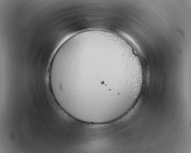 X0000116840908200912312052