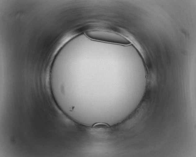 X0000116840909200912312052