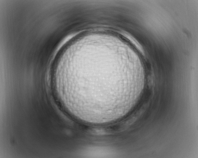 X0000116840911200912312052