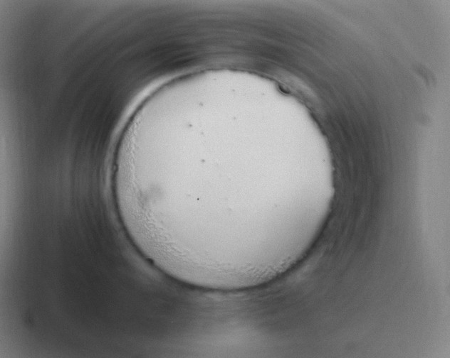 X0000116840912200912312052