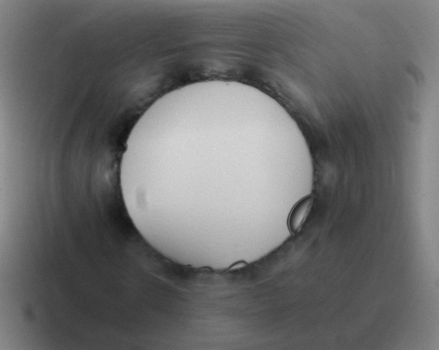 X0000116840914200912312051