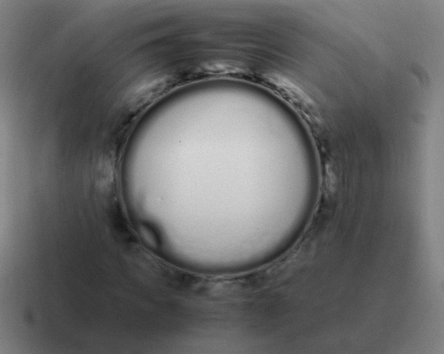 X0000116840917200912312051