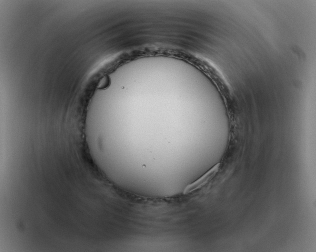 X0000116840919200912312051