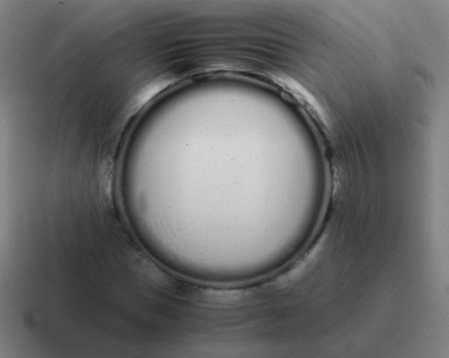 X0000116840921200912312051