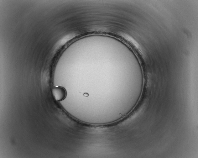 X0000116840922200912312051