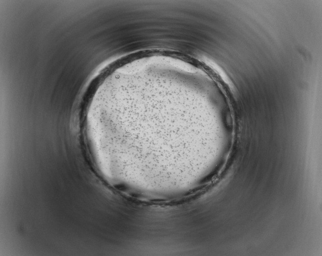 X0000116840923200912312051