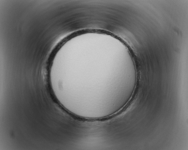 X0000116840926200912312051