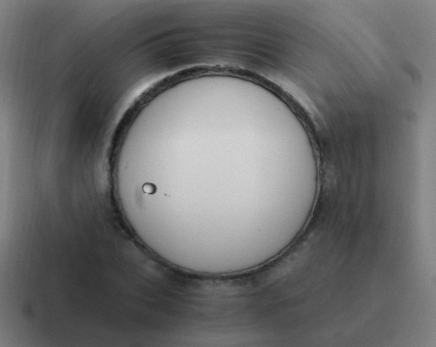 X0000116840927200912312051