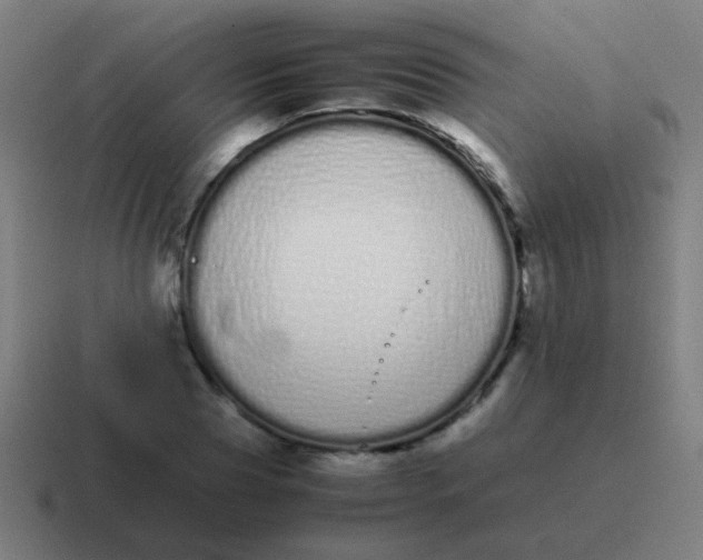 X0000116840929200912312052