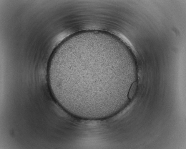 X0000116840930200912312052