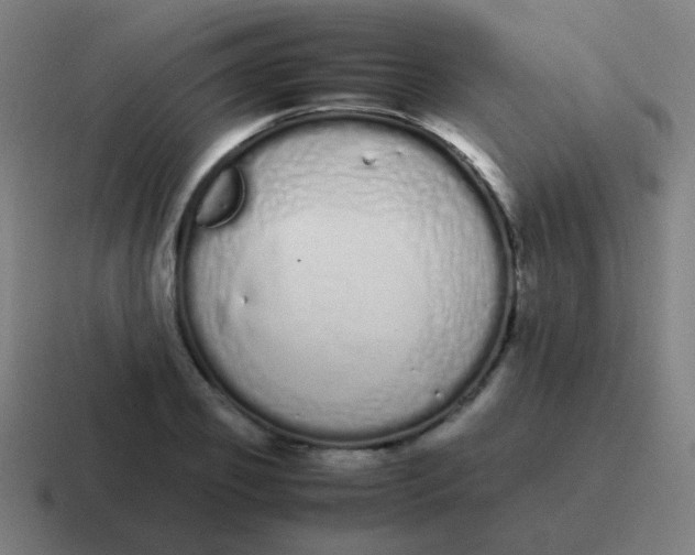 X0000116840933200912312052