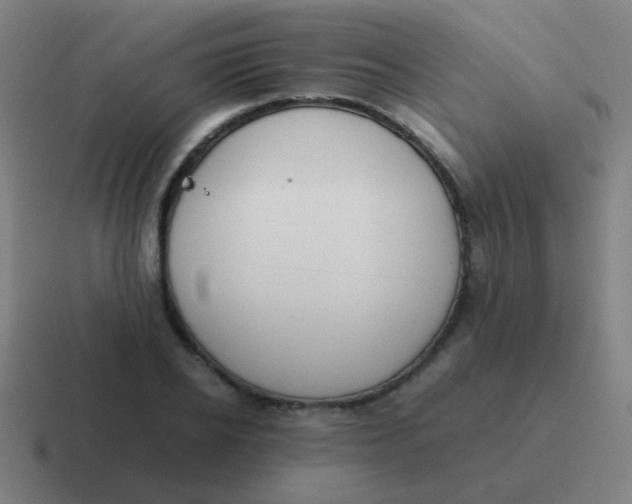 X0000116840934200912312052