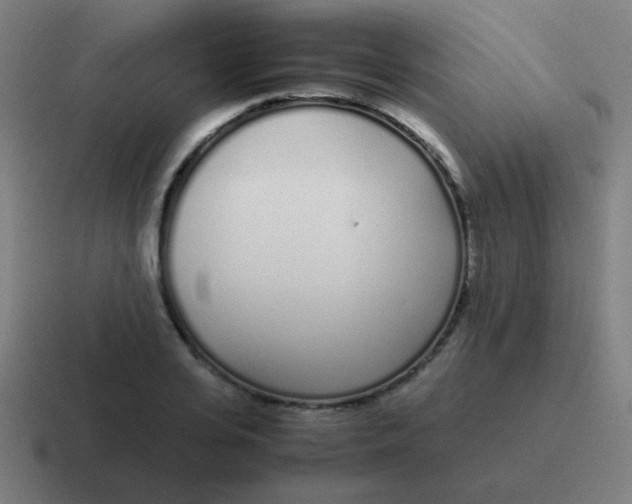 X0000116840935200912312052