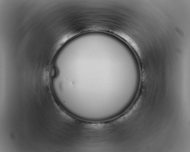 X0000116840937200912312052