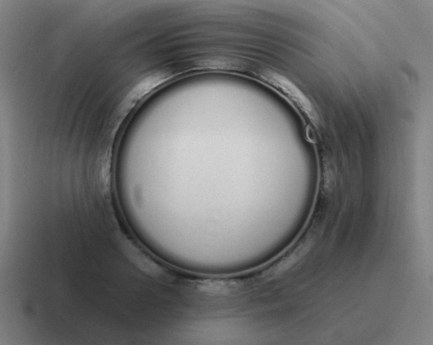 X0000116840938200912312052