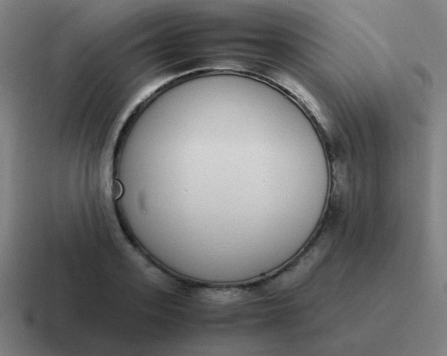 X0000116840939200912312052