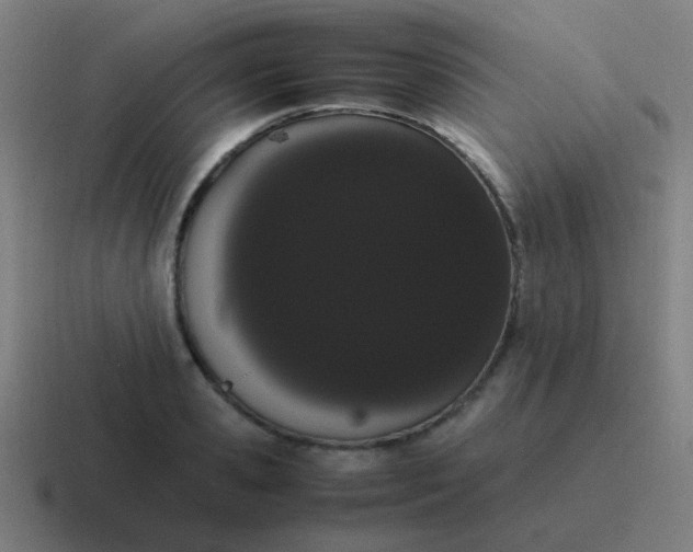 X0000116840941200912312052