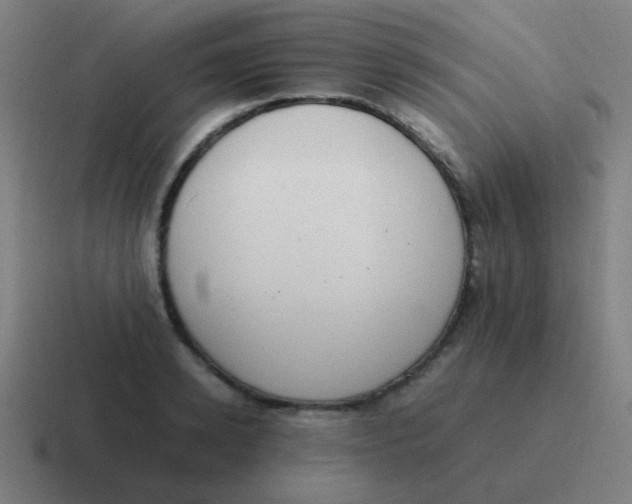 X0000116840942200912312052