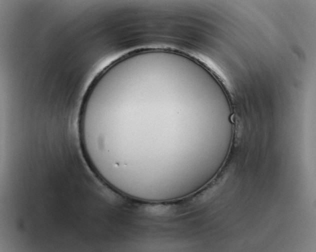 X0000116840943200912312052