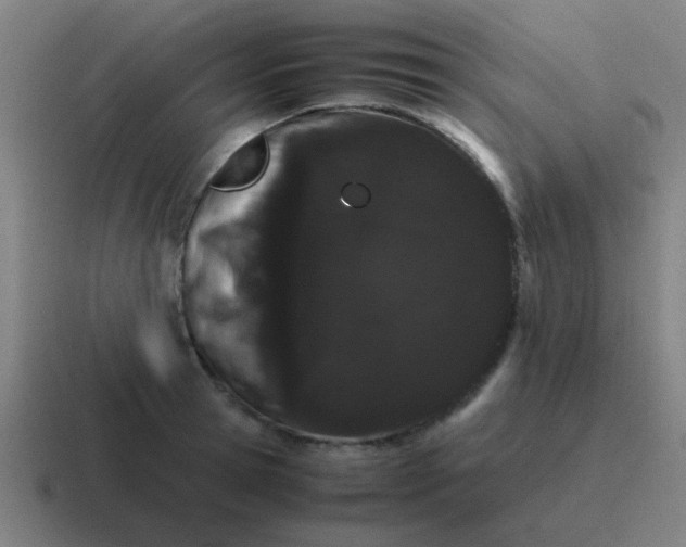 X0000116840945200912312052