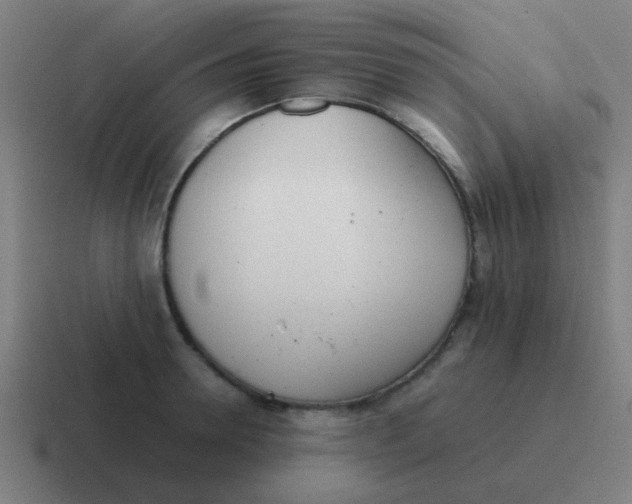 X0000116840946200912312052