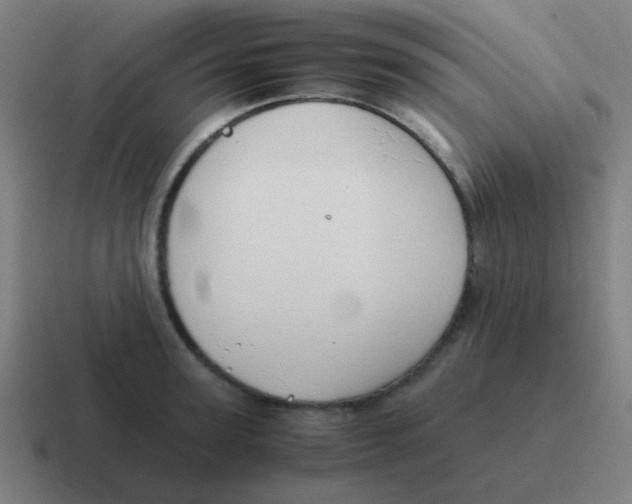 X0000116840947200912312052