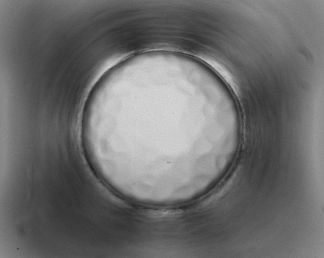 X0000116840949200912312052