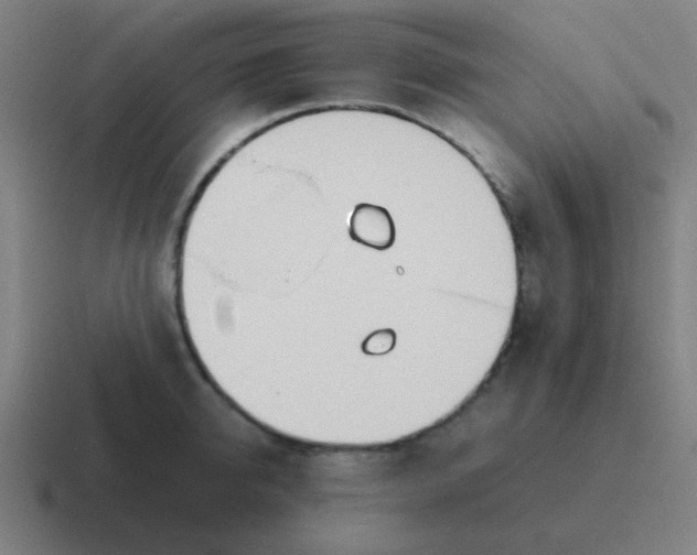 X0000116840950200912312052