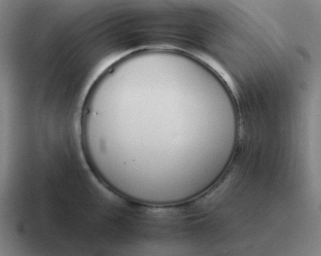 X0000116840951200912312052