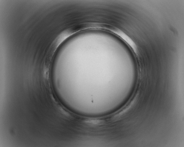 X0000116840953200912312052