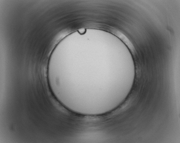 X0000116840954200912312052