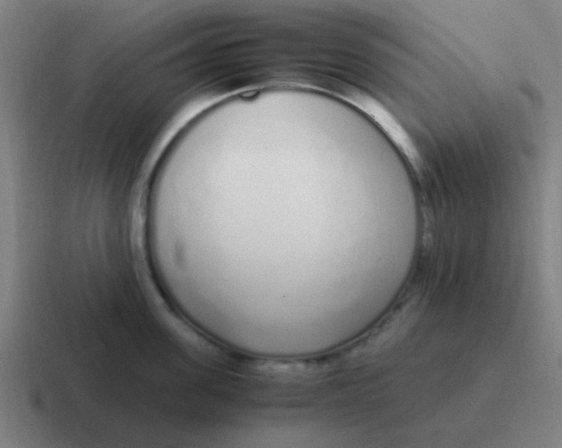 X0000116840955200912312052