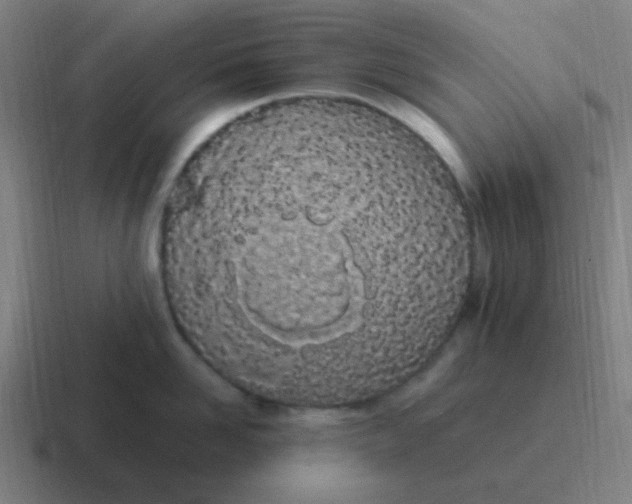 X0000116840958200912312052