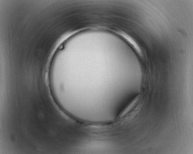 X0000116840959200912312052