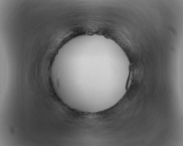 X0000116840961200912312051