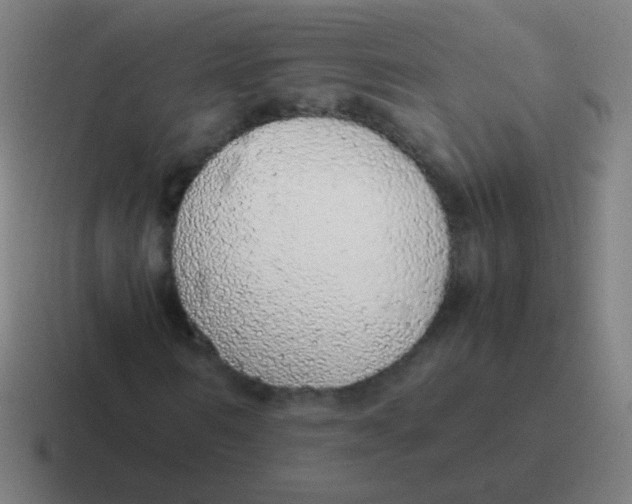 X0000116840962200912312051