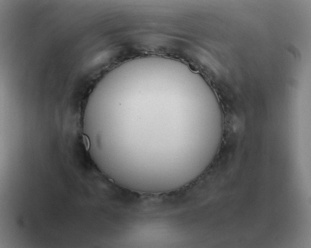 X0000116840965200912312051