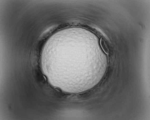 X0000116840967200912312051