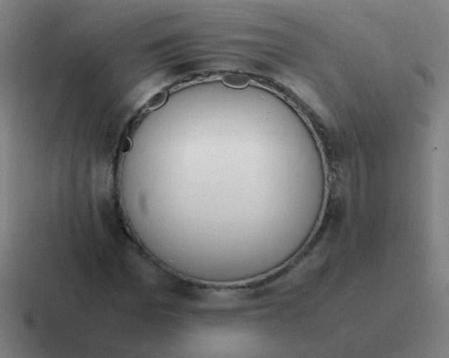 X0000116840969200912312051