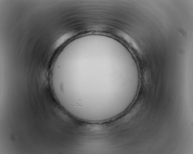 X0000116840970200912312051