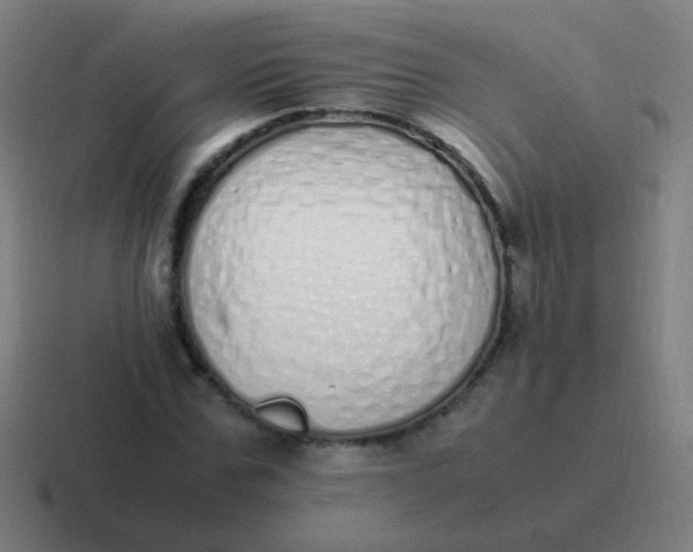 X0000116840971200912312051