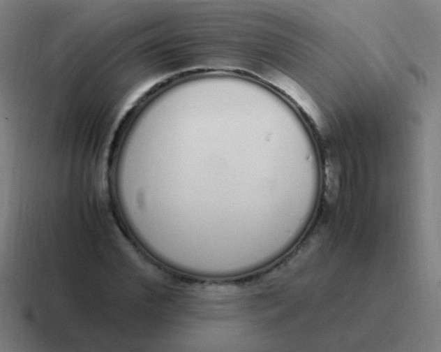 X0000116840972200912312051