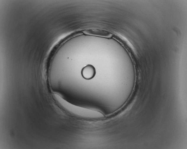 X0000116840973200912312051