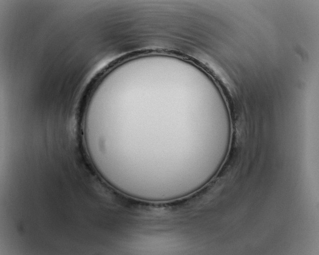 X0000116840975200912312051