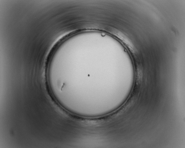 X0000116840976200912312051