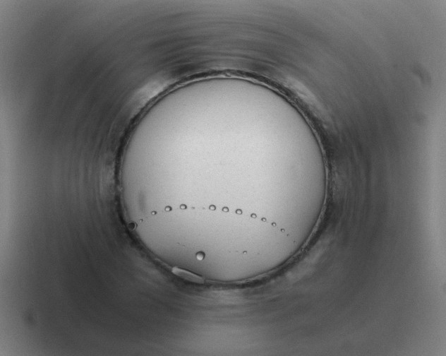 X0000116840977200912312051