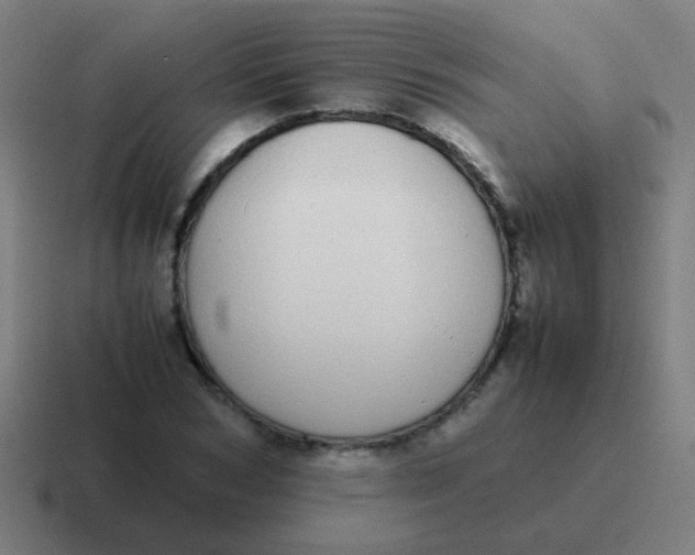 X0000116840978200912312051