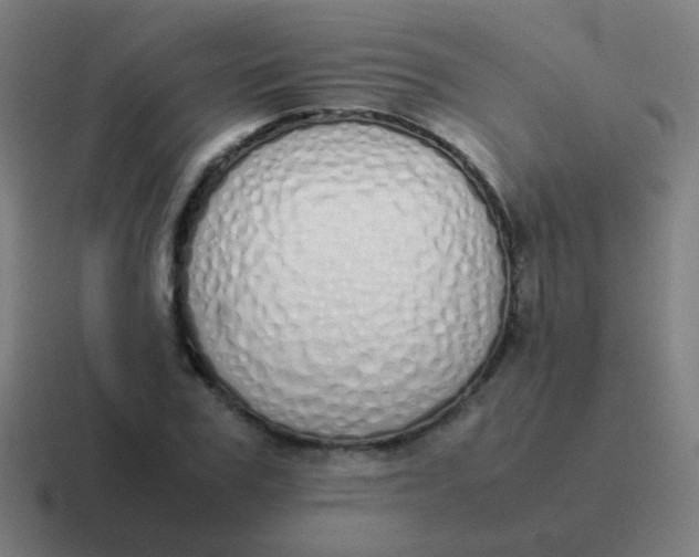 X0000116840979200912312051