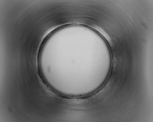 X0000116840980200912312051