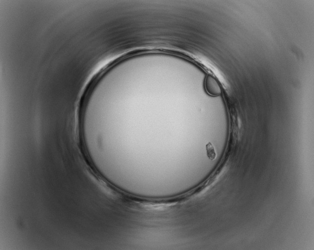 X0000116840982200912312051